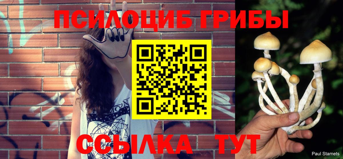 Шадринск  Псилоцибиновые грибы мицелий  Галлюциногенные грибы прущие грибы  Вход с VPN 