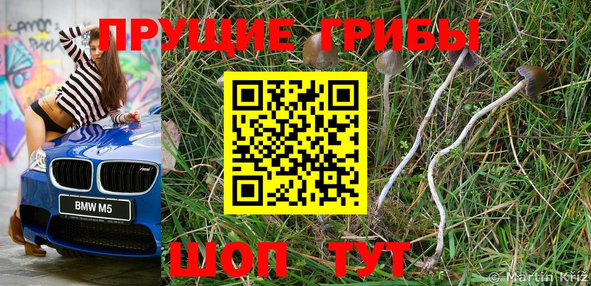Галлюциногенные грибы Magic Shrooms Шадринск